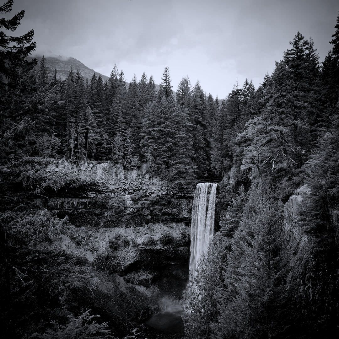 Stanley Park