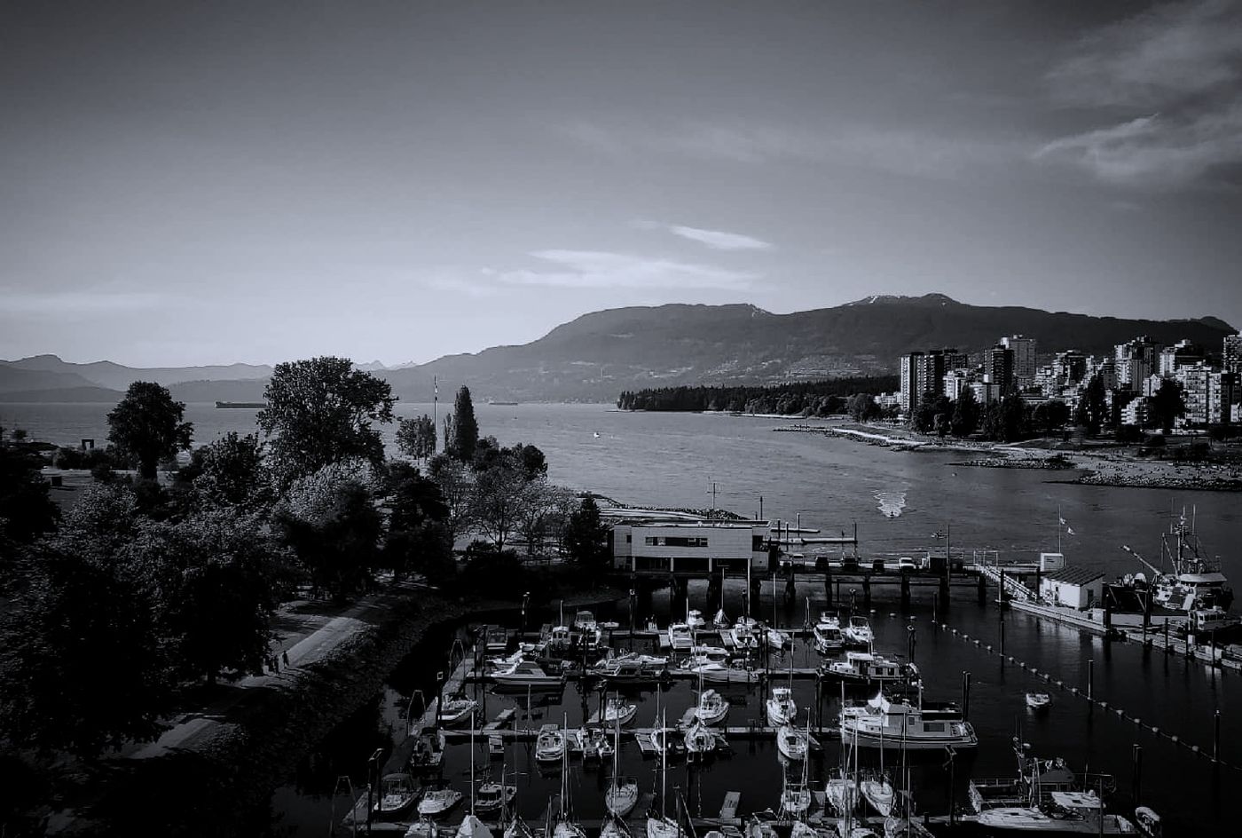 Seawall / West End / Stanley Park edge
